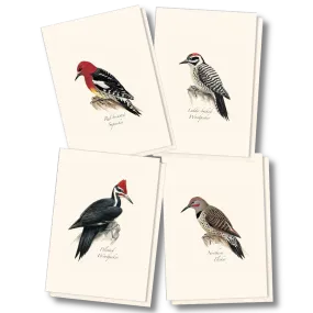 Woodpecker Boxed Notecards